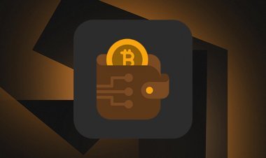 Что такое холодный кошелек для криптовалюты простыми словами