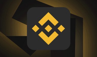 Що таке блокчейн Binance Coin і як працює криптовалюта BNB