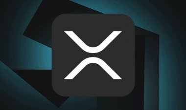 Как купить Ripple (XRP) на биржах криптовалют?