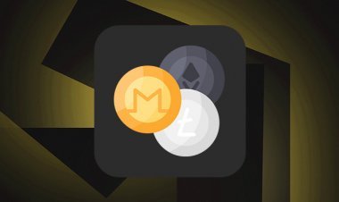 Що таке альткоїни і які криптовалюти можна віднести до цієї категорії?