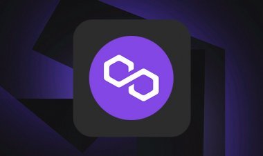 Що таке блокчейн Polygon і як працює криптовалюта MATIC