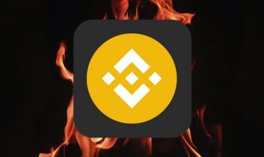 Відбулося 20 щоквартальне спалювання BNB на суму понад $444 млн.