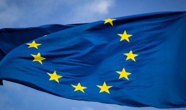 ЕС собирается запустить систему защиты от подделок на основе блокчейна и NFT