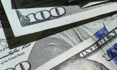 GoGoPool, Koop, Stacked, Luabase, Proof и Sei Networks успешно завершили раунды финансирования