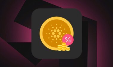 Как выбрать самый прибыльный стейкинг-пул Cardano (ADA)