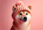Фото собаки символа криптовалюты Dogwifhat продается на аукционе как NFT за $180 000