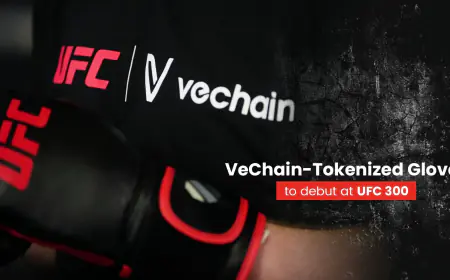 VeChain анонсував випуск токенізованих бійцівських рукавичок у партнерстві з UFC