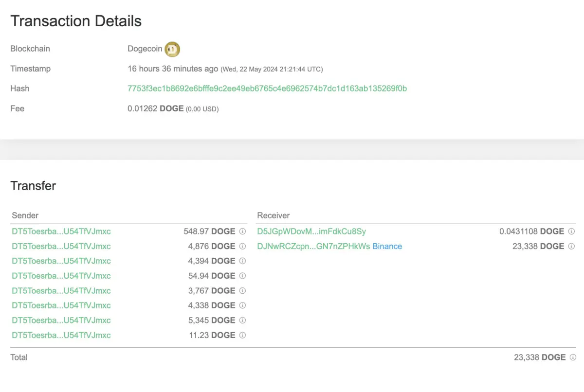 Скриншот перевода 23 338 DOGE, стоимостью около 4000 долларов США, на криптобиржу Binance