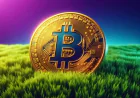 Біткоїн-ETF у США залучили $962 млн за 6 днів на тлі зростання BTC на 12%