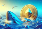 Ethereum-кити за три тижні накопичили 934 240 ETH, поки роздрібні інвестори скорочують свої запаси