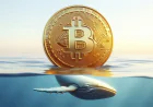 Біткоїн-кит із 2100 BTC на $147 млн прокинувся після 13 років бездіяльності та переказав лише $56