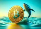 Кити скупили 61 000 BTC на $4 млрд за місяць на тлі напруженості на крипторинку